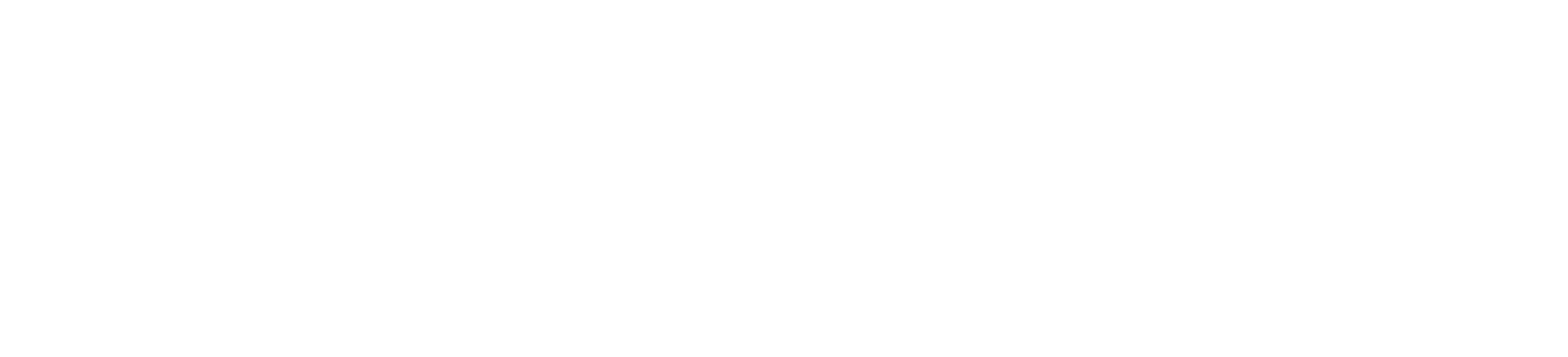 Firmenname